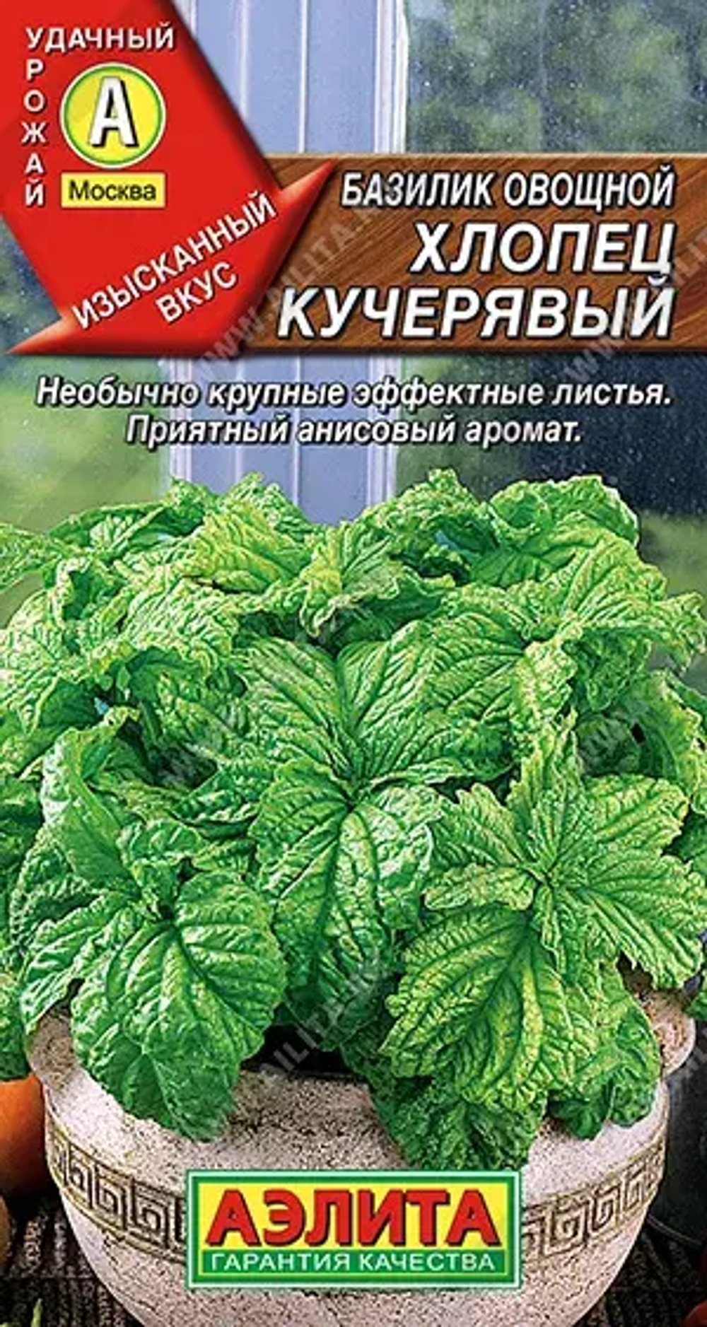 Базилик Хлопец кучерявый 0,3г