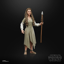Hasbro Star Wars The Black Series - Фигурка принцессы Леи (Деревня эвоков) 15 см F4352