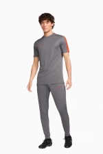 Штаны Nike Dri-FIT Academy - серый