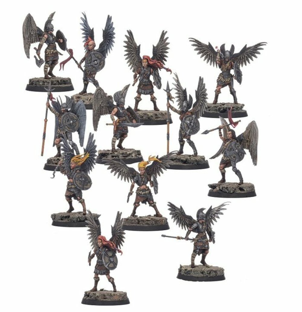 NA-429 Valkyries