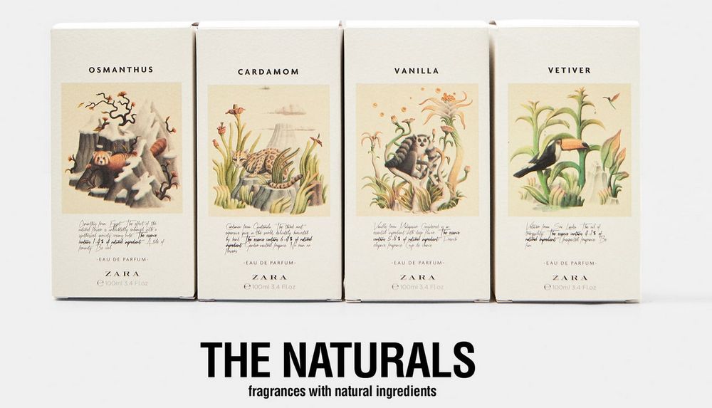 Zara Cardamom - Gender Neutral