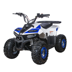 Квадроцикл YACOTA Raposa