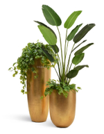 Кашпо TREEZ Effectory - Metal - Высокий конус Giant - Сусальное золото