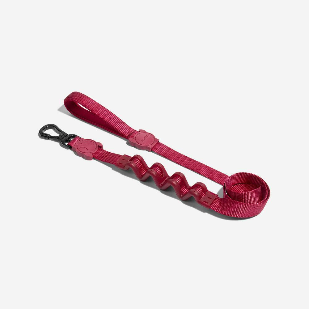 Амортизирующий поводок BORDEAU RUFF 120 см Zee.Dog