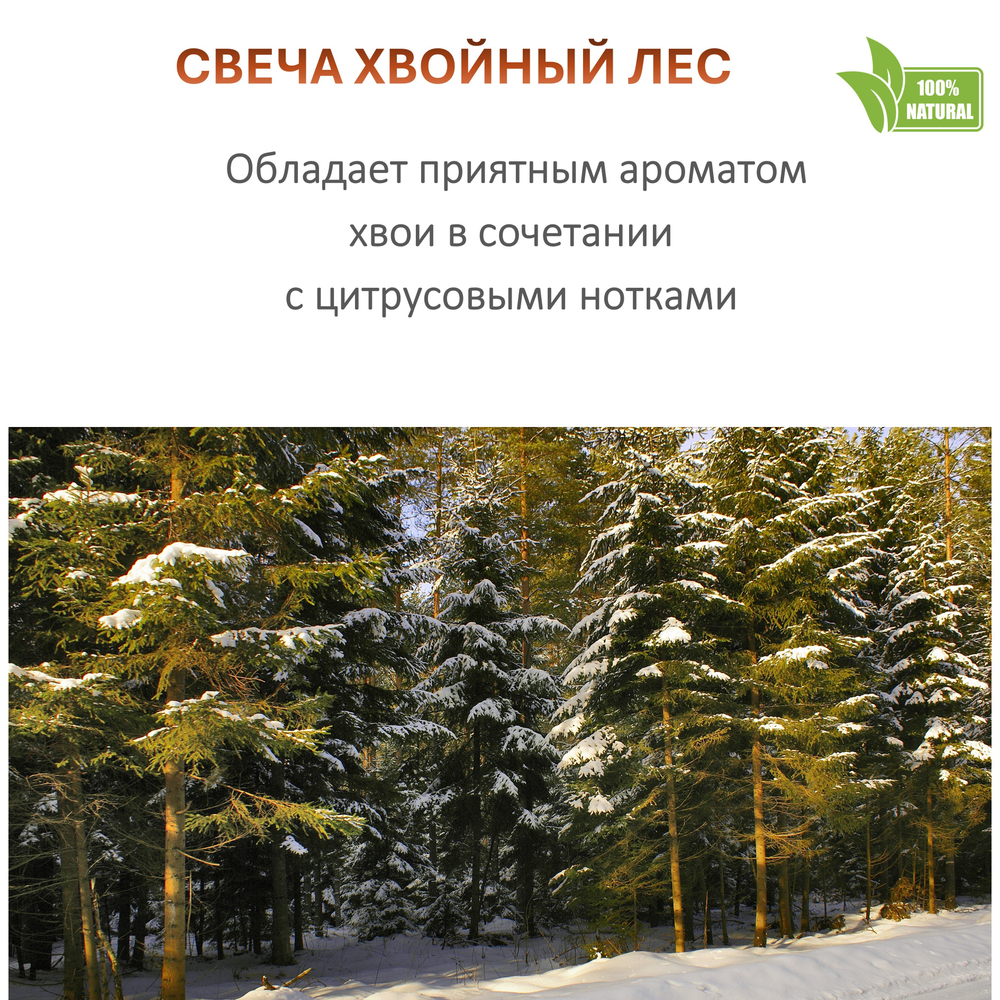 Свеча зеленая новогодняя, Хвойный лес 120 мл