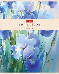 w78v8ejwisi1csncpwej8dhxgkcl8hw6