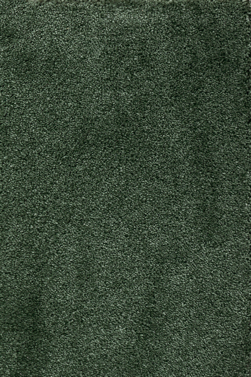 Ковровое покрытие AW Leda 24