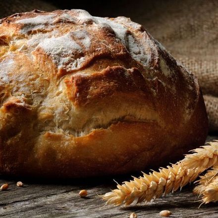 Свежеиспечённый хлеб (Friendship Bread)