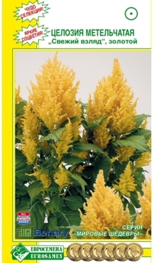 Целозия метельчатая Свежий взгляд золотой
