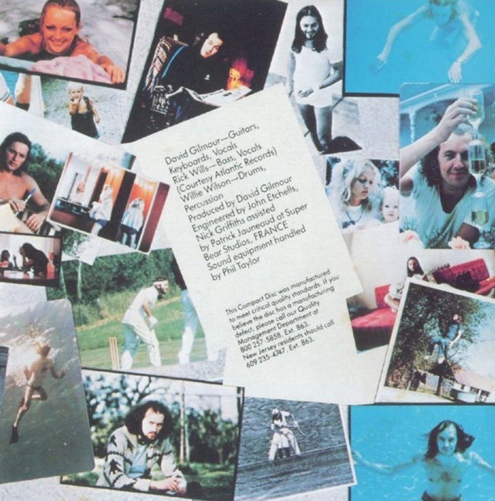David Gilmour / David Gilmour (CD)