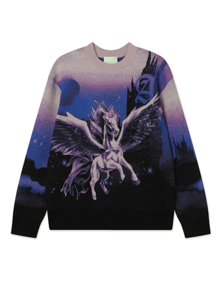 Свитер Pegasus