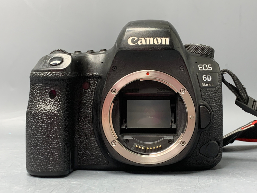 Canon 6D Mark II 21900 кадров