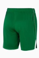 Шорты Nike Team Volleyball Spike