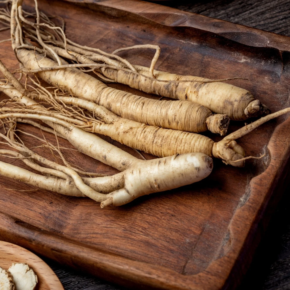 Тибетский Женьшень (Tibetan Ginseng)