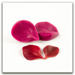 Силиконовые вайнеры молды  каттеры барбариса, молды для мастики