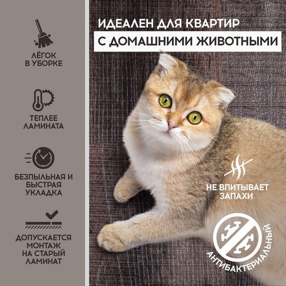 SPC ламинат I-Floors Basic - Дуб Шамбор