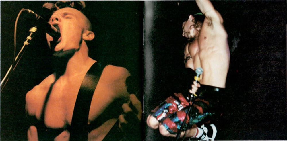 Red Hot Chili Peppers. Greatest Hits (CD)