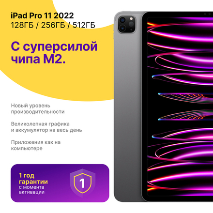 iPad Pro 11 (2022) 256Gb Wi-Fi