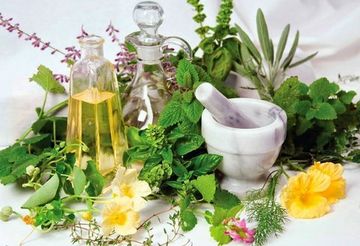 Список из 10 мощнейших растительных компонентов для ИМУНИТЕТА!