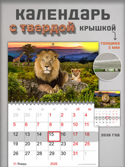Настенный отрывной календарь "Лев со львенком"