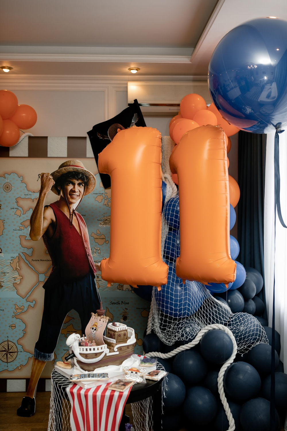 One Piece Party