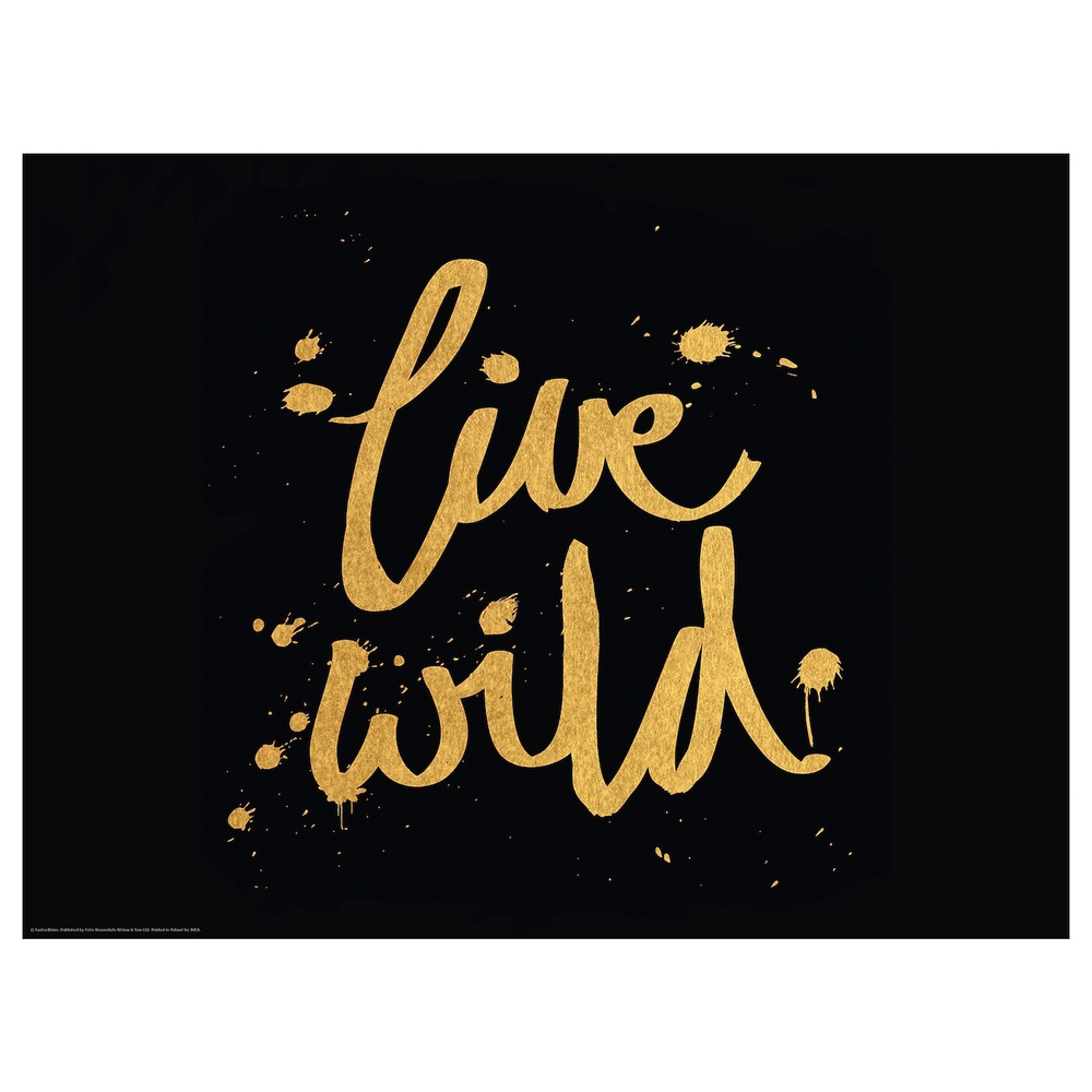 IKEA BILD  (ИКЕА БИЛД)  -  Плакат, Live wild, 40x30 см
