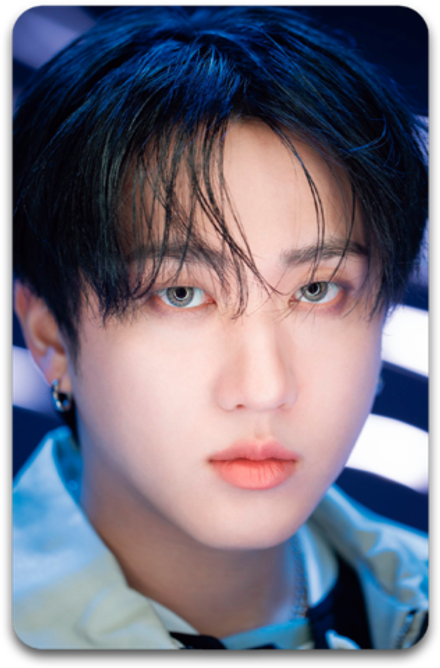 Карта / STRAY KIDS #3445
