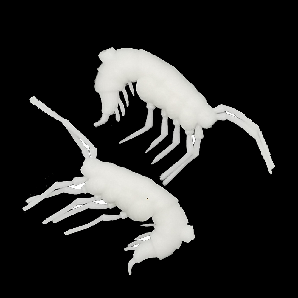 Рыболовные, силиконовые приманки. Рачки мормыш RuBaits Shrimp креветка. Набор для рыбалки на щуку, судака, окуня, форель. Зимняя рыбалка, микроджиг.