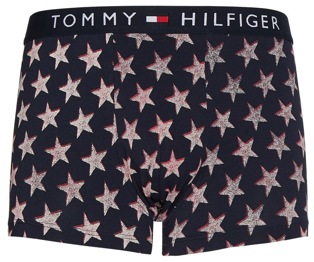 Мужские спортивные боксеры Tommy Hilfiger Trunk Print 1P - разноцветный