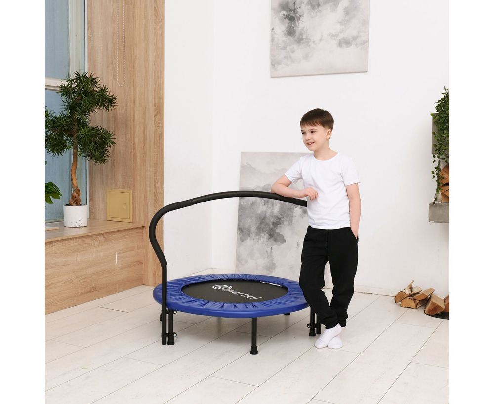 Батут с поручнем DFC JUMPFIT 36'' синий
