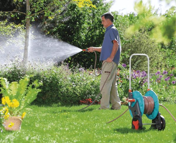 Как выбрать садовый опрыскиватель Как выбрать садовый опрыскиватель