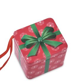 TCN-20/4 Коробка металлическая