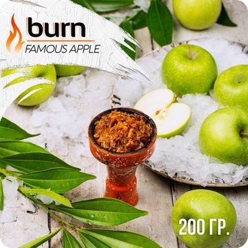 Burn (Famous Apple), 200 гр.