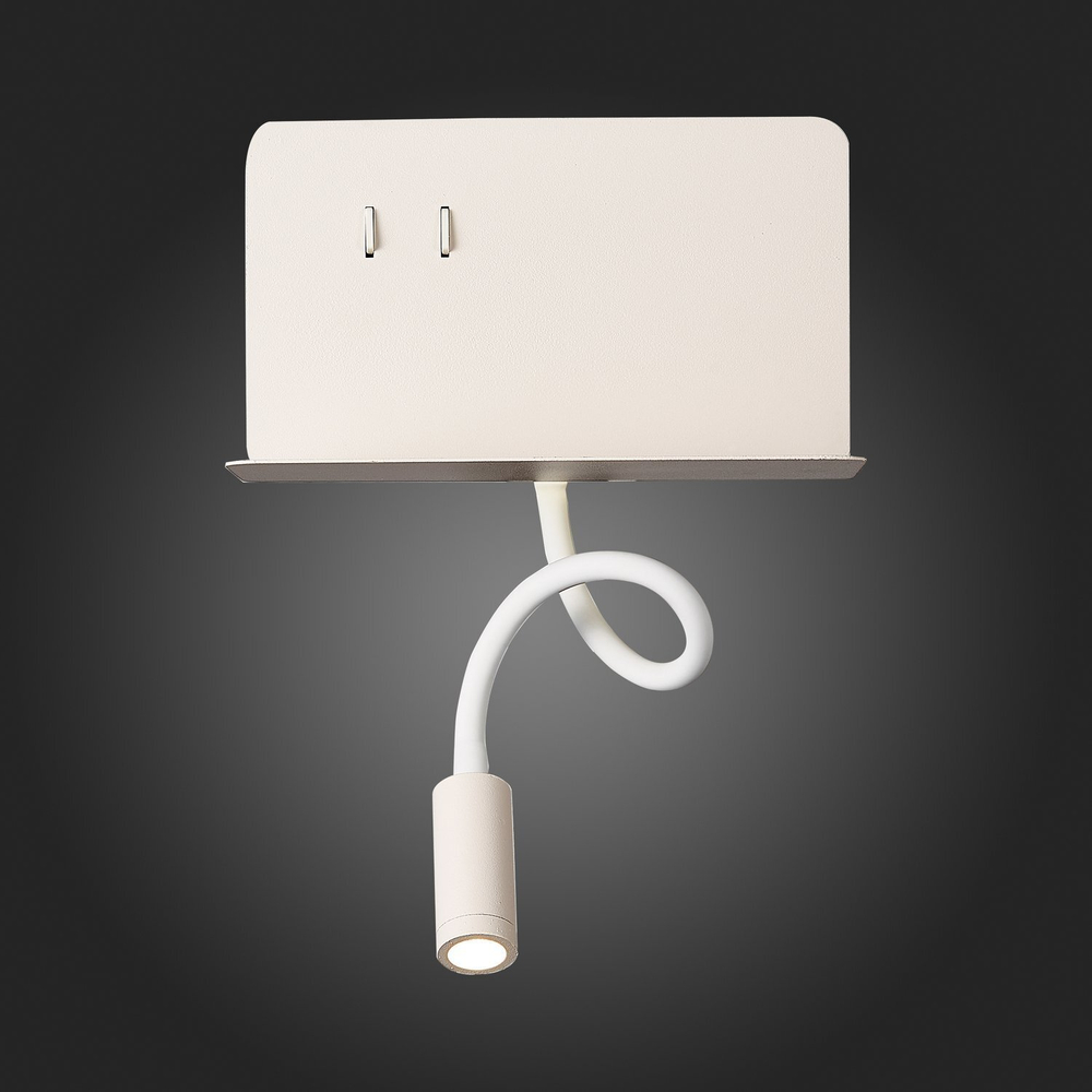 Светильник настенный ST Luce SL1576.501.02