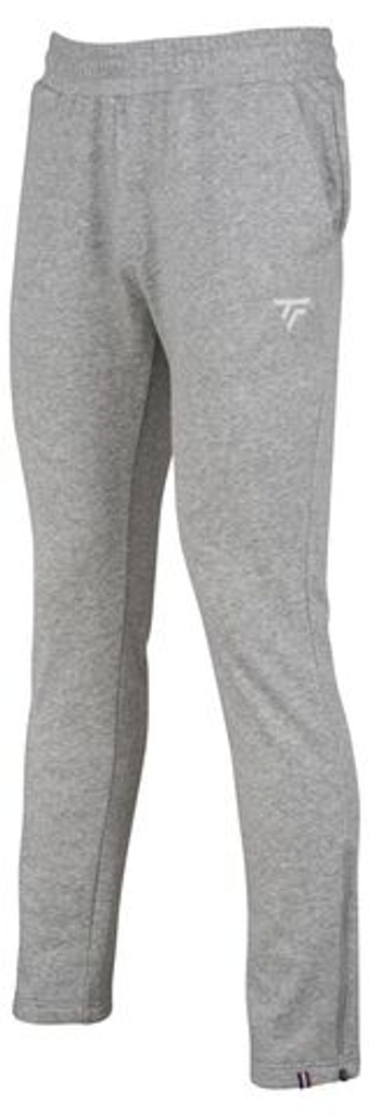 Мужские теннисные штаны Tecnifibre Team Tech Pants - серый