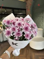 собран сегодня #24