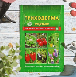 Биологический препарат «Триходерма вериде» для защиты растений от болезней