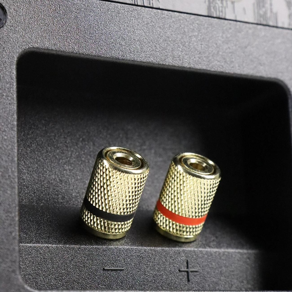 Полочные колонки Radiotehnika Alfa 1.01 MKII Black Ash