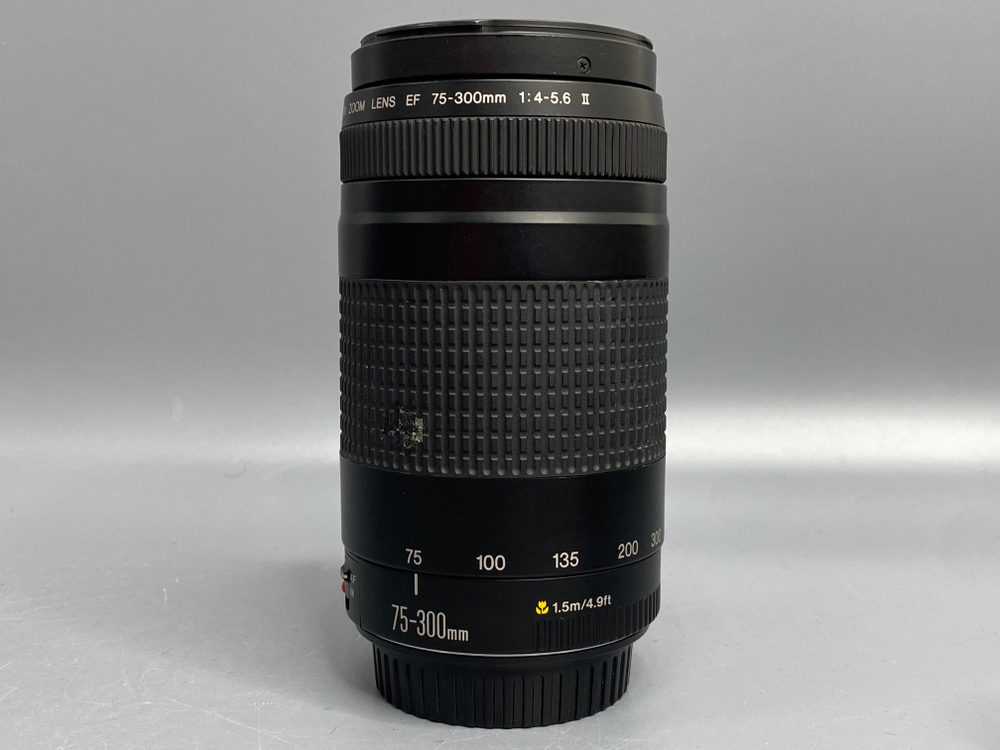 Canon EF 75-300mm 4-5.6 II