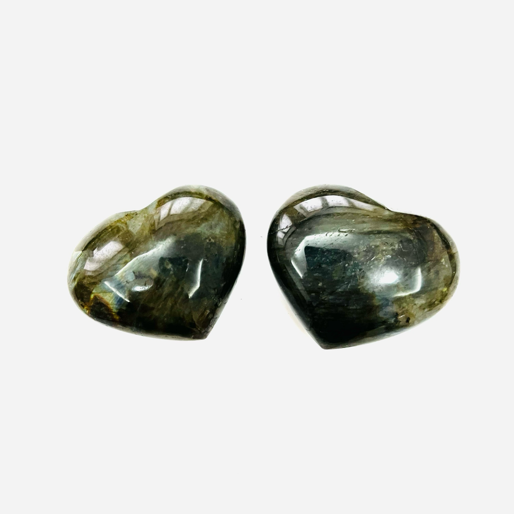 Сердце лабрадор, 1 шт (50-55 гр)