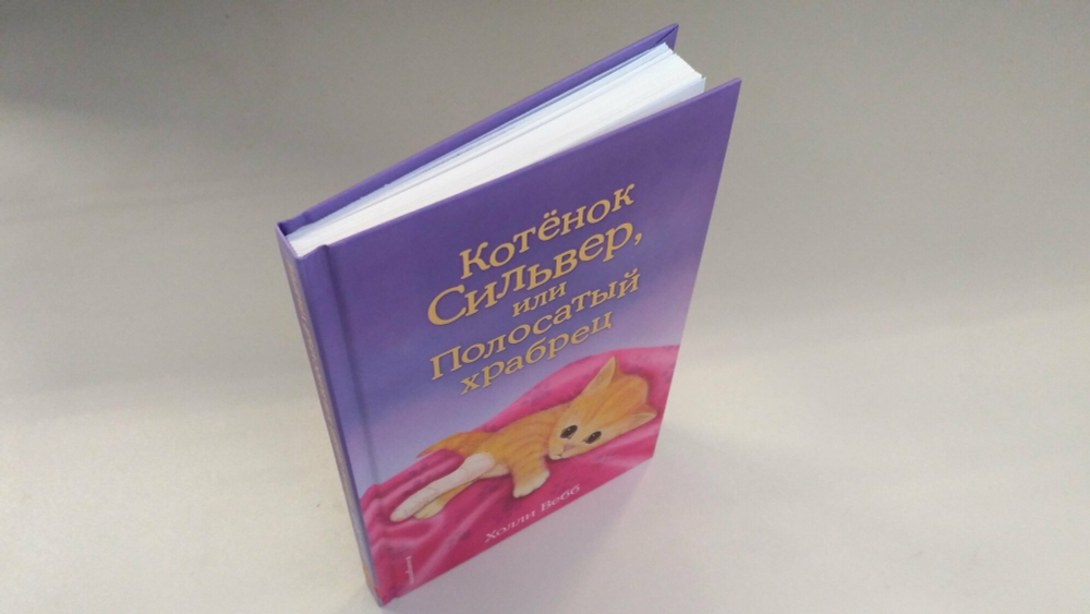 Котенок Сильвер, или Полосатый храбрец