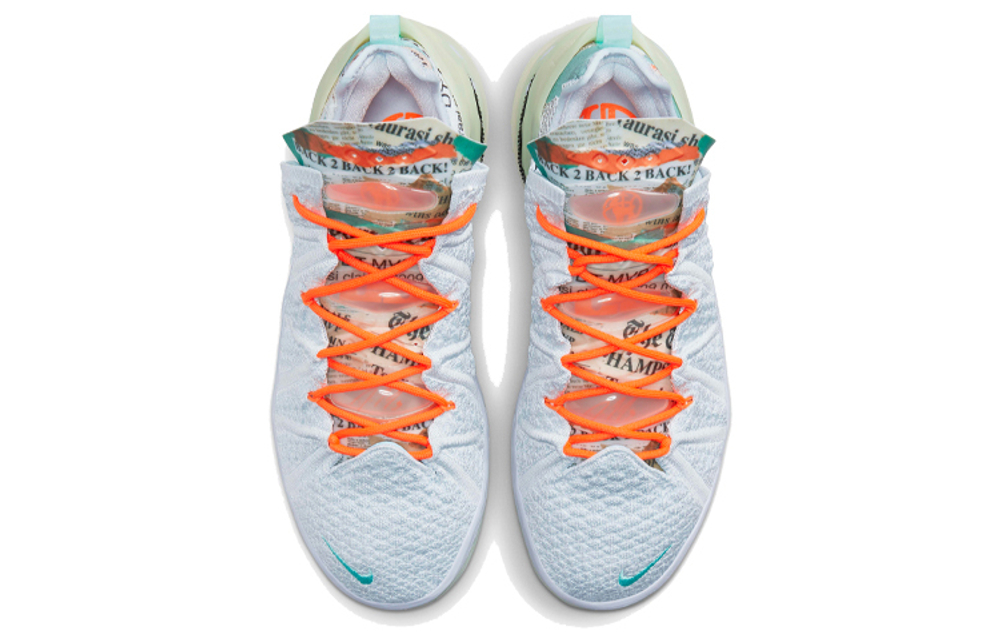 Кроссовки Diana Taurasi X Nike Lebron 18 Ep "La Cabra" 18