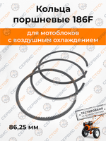 B147-1-186RT (1)
