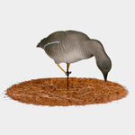 Гусь гуменник Duck Mania "ALFA"