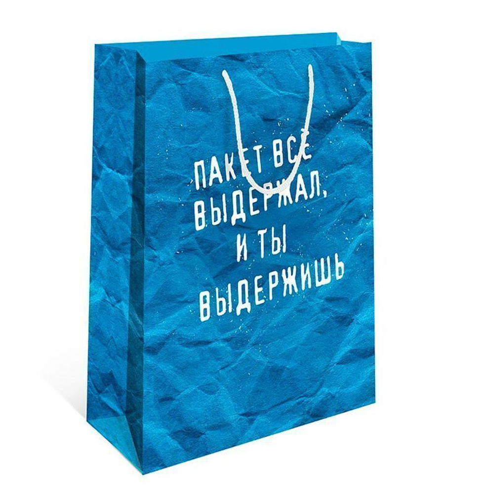 Пакет подарочный "Ты выдержишь"  26*12*32 см