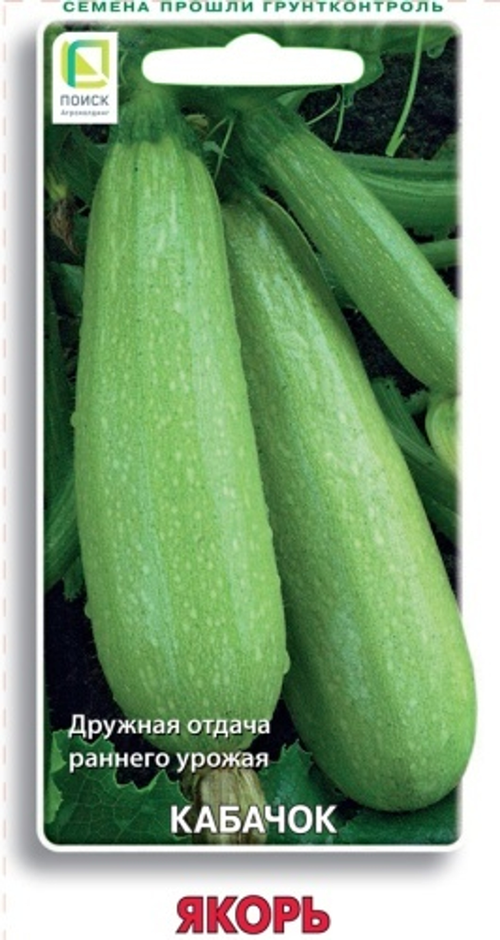 кабачок Якорь