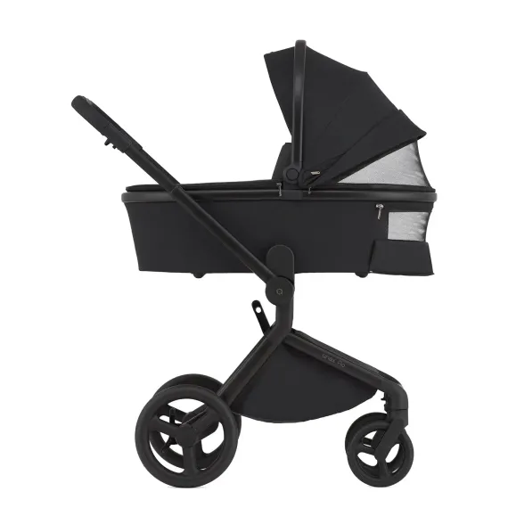 Коляска ANEX Flo 3 в 1 Lungo