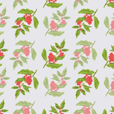 Ветка кофейных ягод на сером фоне