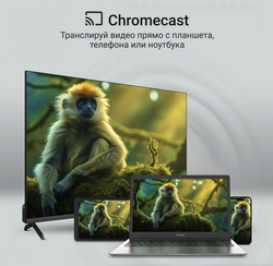 Телевизор Digma Google TV DM-LED65UQB31, 65", QLED, 4K Ultra HD, Google TV, черный
