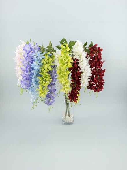 Глициния ампельная Маркиза